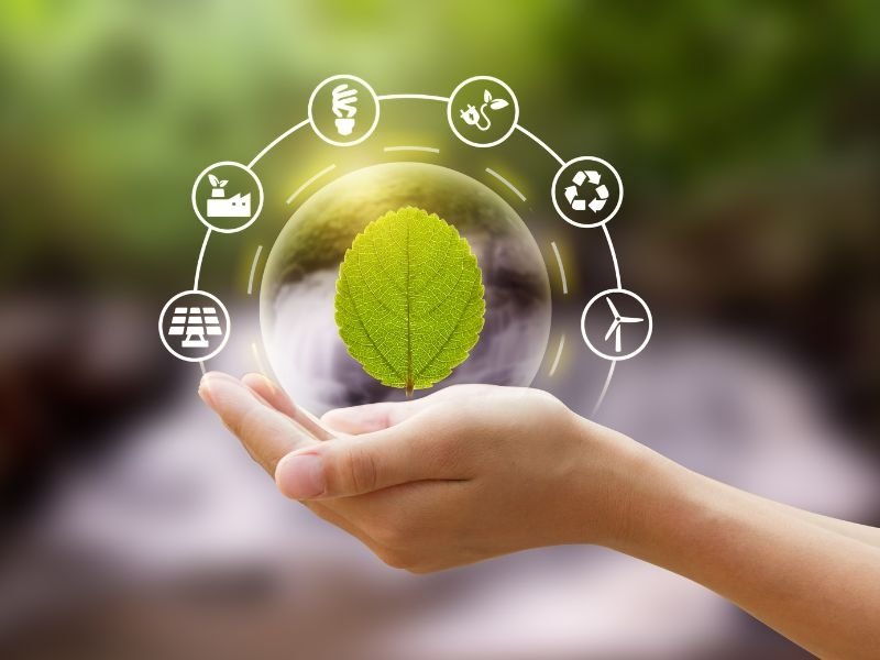 Consultoria e Licenciamento Ambiental