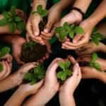 Ecologia e Gestão Ambiental