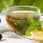 Fitoterapia Aplicada À Nutrição Clínica