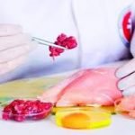 Higiene E Inspeção De Produtos De Origem Animal