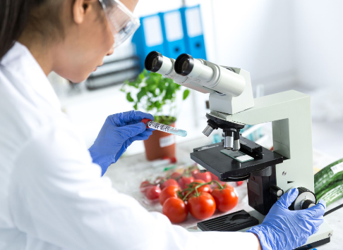 Tecnologia Dos Alimentos