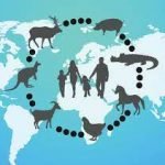 Zoonoses E Saúde Pública